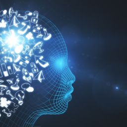 Um mundo virtual para chamar de seu?